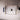 Perfusion CAESAREA MEDICAL Body Guard 545 - Codeo Medical