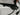 Coloscope Fujifilm EC-530MP occasion - Fonctionnel (X) - photo 1