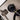 Endoscope rigide Olympus OVC-100 - Fonctionnel (X) - photo 4