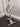 Respirateur Taema Horus 4 occasion - Fonctionnel (X) - photo 4