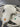 Sonde convexe CH4-1 Siemens - Fonctionnel (X) - photo 3