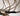 Surgical Microscope Karl Kaps SOM-62 - Fonctionnel (X) - photo 1