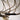 Surgical Microscope Karl Kaps SOM-62 - Fonctionnel (X) - photo 1