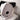 Testeur de vision Stereo Optical Optec 6500P - Codeo Medical (2)